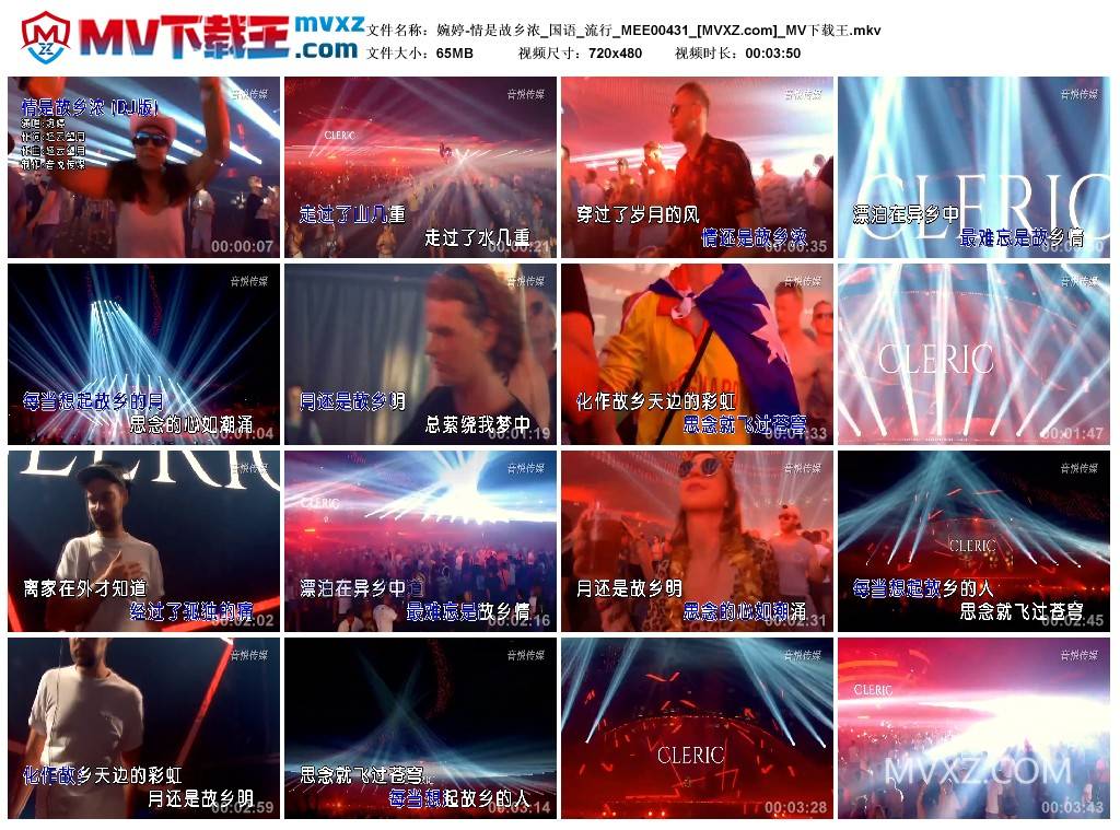 婉婷-情是故乡浓_国语_流行_MEE00431